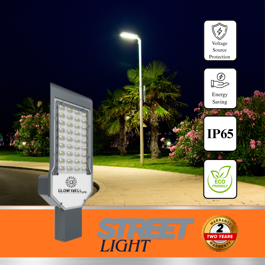 Street light 100W